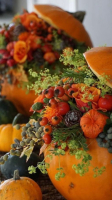 Inspiration florale dans mon potager 